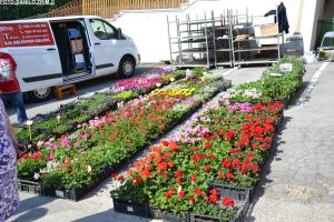 Sejem križani četrtek 10.05.2018 36